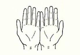I Mudra a mani giunte