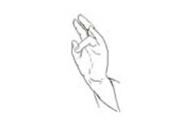 I Mudra a mani giunte