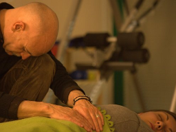 Trattamento dei cinque organi Reiki